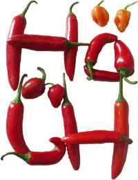 chilies